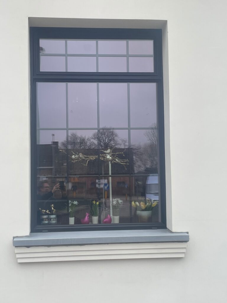 Ramen met ruithouten in het glas in Reynaers aluminium (SL 38)